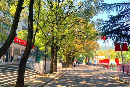 校园环境
